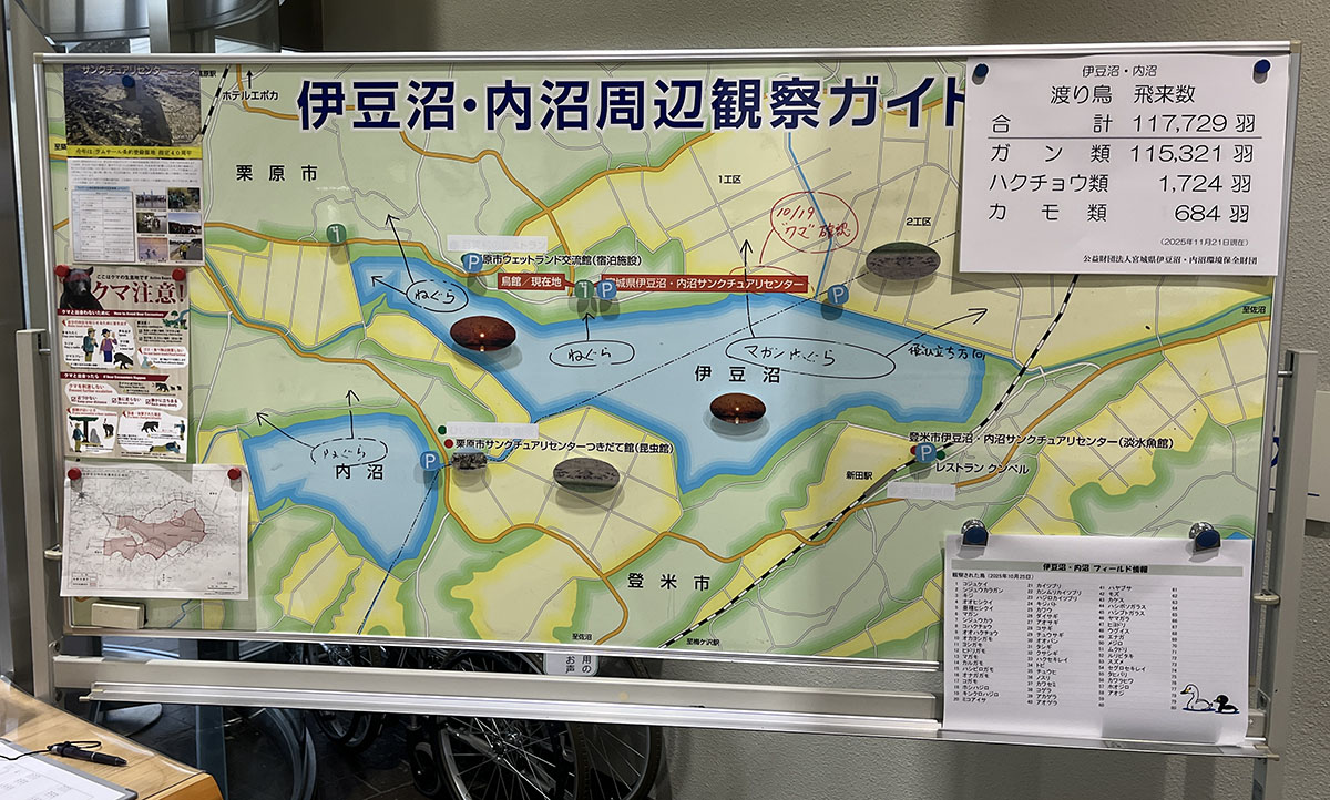 伊豆沼・サンクチュアリセンター情報